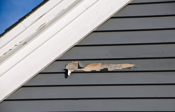 Affordable siding repair and maintenance services in Monterey Park, CA